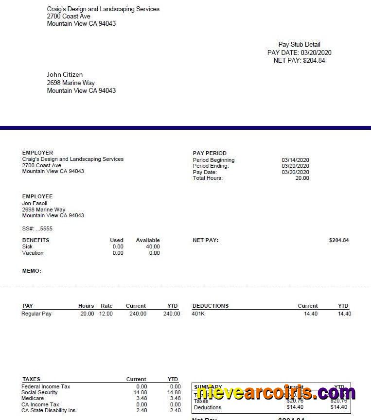 CRAIG'S Design and Landscapin Services pay stub
